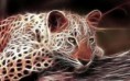 /album/galleria-fotografica/leopardo-jpg/
